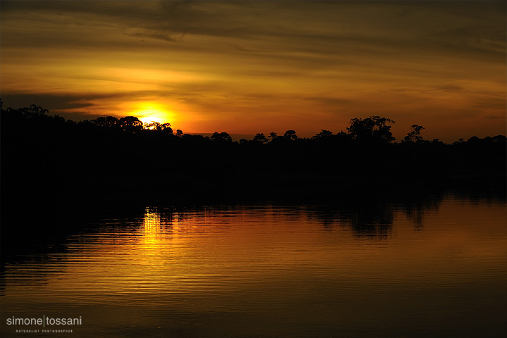 Laguna Amazzonia   Nikon D700  Nikon 24/70 f/2.8  1/200 Sec  f/8  ISO 200 Fotografia Paesaggi materiale Nikon Simone Tossani