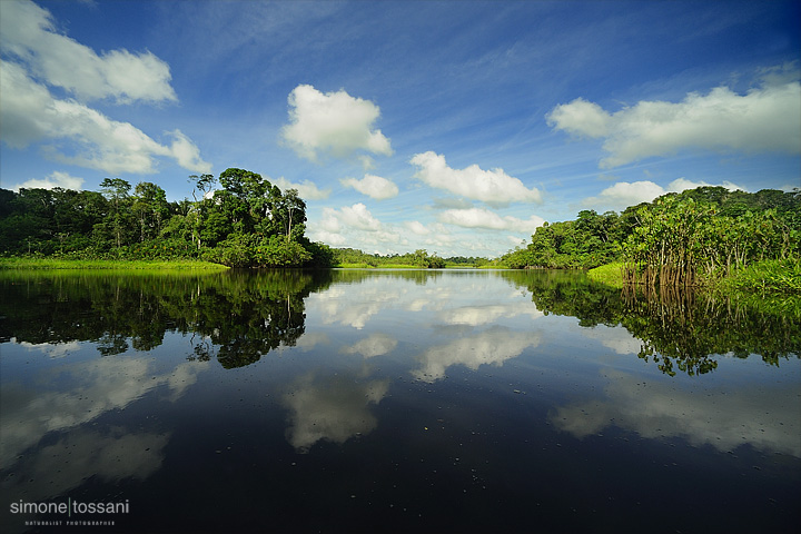 Laguna Amazzonia  Nikon D700  Nikon 14/24 f/2.8  1/1000 Sec  f/9  ISO 250 Fotografia Paesaggi materiale Nikon Simone Tossani